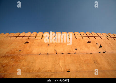 Tauben sitzen auf hohen Mauer des Bernsteins als Amer Fort im Jahre 1592; Jaipur; Rajasthan in Indien Stockfoto