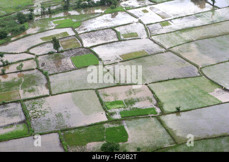Eine Luftaufnahme von Ackerland mitten im Wasser Flut rockten in Raigad, Maharashtra, Indien am 26. Juli 2005 Stockfoto