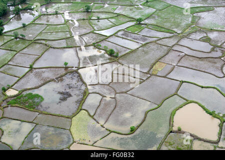 Eine Luftaufnahme von Ackerland mitten im Wasser Flut rockten in Raigad, Maharashtra, Indien am 26. Juli 2005 Stockfoto