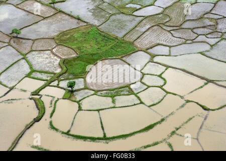 Eine Luftaufnahme von Ackerland mitten im Wasser Flut rockten in Raigad, Maharashtra, Indien am 26. Juli 2005 Stockfoto