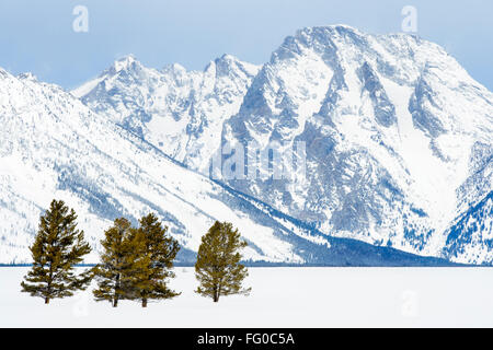 Grand Teton Berge im Winter, gesehen von der Antilope Wohnungen, Grand-Teton-Nationalpark, Wyoming, USA. Stockfoto