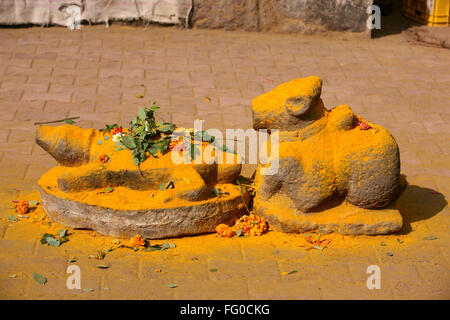 Statuen von Schildkröte und Nandi Kaution (Stier) inmitten der Kurkuma-Pulver auf die Jejuri Tempel, Pune, Maharashtra, Indien Stockfoto