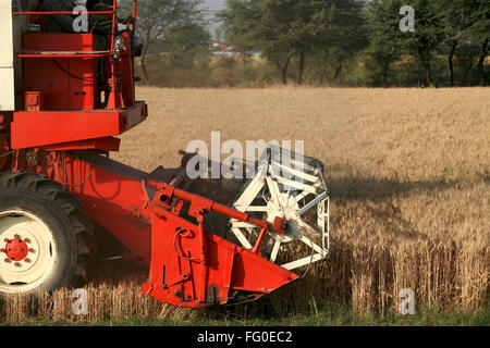 Mähdrescher ernten in goldener Weizen im Feld; Bhopal; Madhya Pradesh; Indien Stockfoto