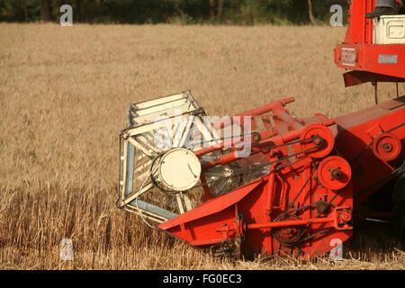 Kombinieren Sie Harvester Ernte goldenen Weizenfeld Stockfoto