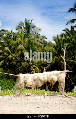 Fischernetz am Strand, Dorf Bhogwe, Konkan, Bezirk Sindhudurga, Maharashtra, Indien, Asien Stockfoto