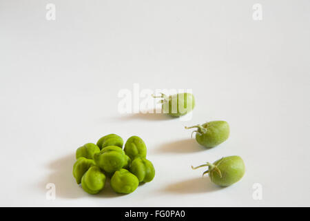 Getreide, Hülsenfrüchte frische grüne Schale mit unpeel Kichererbsen Hara Chana Cicer arietinum Stockfoto