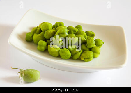 Getreide, unpeel frische Impulse mit Schale grüne Kichererbsen Hara Chana Cicer arietinum Stockfoto