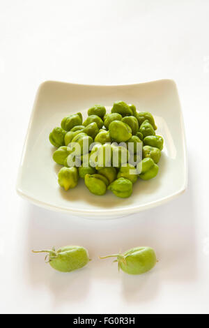 Getreide, unpeel frische Impulse mit Schale grüne Kichererbsen Hara Chana Cicer arietinum Stockfoto