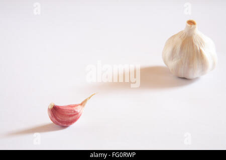 Indisches Gewürz, Knoblauch Zwiebeln & Nelken Lahsun Allium Sativum auf weißem Hintergrund Stockfoto