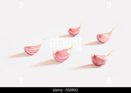 Indisches Gewürz, Knoblauch Knoblauchzehen Lahsun Allium Sativum auf weißem Hintergrund Stockfoto