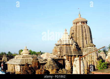 Lingaraj Bügel im 11. Jahrhundert, Bhubaneswar, Orissa, Indien Stockfoto