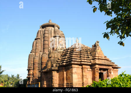 Raja Rani Tempel aus rotem gold Sandstein, Bhubaneswar, Orissa, Indien Stockfoto