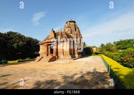 Raja Rani Tempel aus rotem gold Sandstein, Bhubaneswar, Orissa, Indien Stockfoto