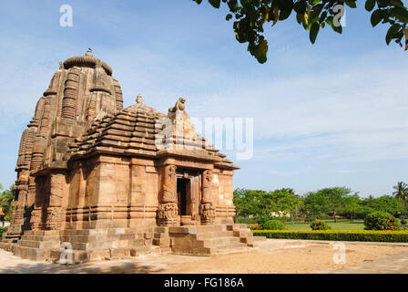 Raja Rani Tempel aus rotem gold Sandstein, Bhubaneswar, Orissa, Indien Stockfoto