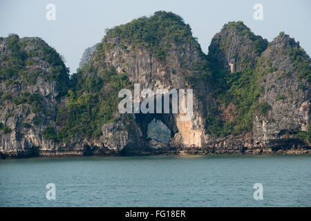 Kleine Kalkstein Karst, der Rest der Insel steigt aus dem Meer in der Halong Bucht mit einem Baum an der Spitze Stockfoto