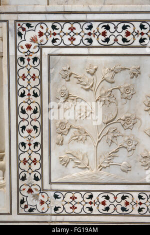 Marmor-Inlay Arbeit ineinander greifenden und unteren Wände gemeißelt realistische Bas Relief Darstellungen Blumen Taj Mahal Agra Uttar Pradesh Stockfoto