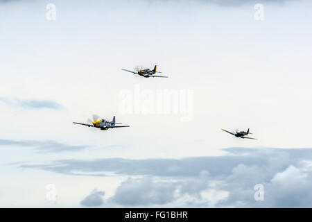 North American P - 51D Mustangs und ein Spitfire fliegen über Shoreham Flugplatz Stockfoto