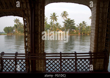 Kokospalmen, Blick durch Fenster des Luxus-Hausboot in den Backwaters, Alleppey, Kerala, Indien Stockfoto