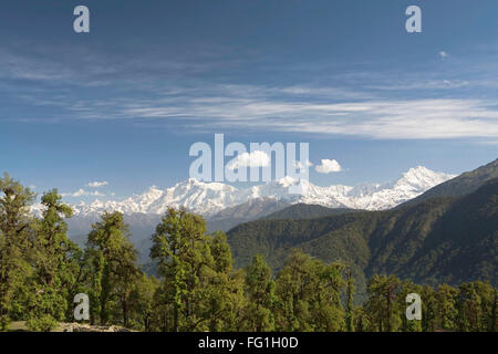 Gipfel des Garhwal Himalaya gesehen von Chopta, Uttaranchal, Indien Stockfoto