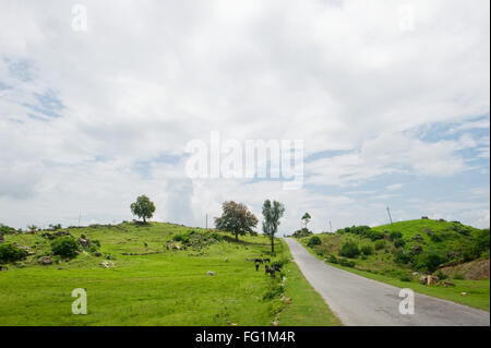 Landschaft; Indien Stockfoto