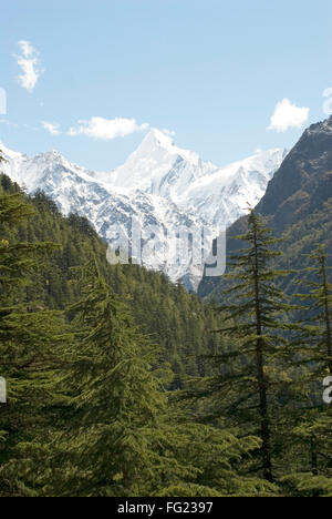 Gangotri Nationalpark in Gangotri und Himalaya Schnee am Berg Peak Sudarshan, Gangotri, Uttaranchal, Indien Stockfoto