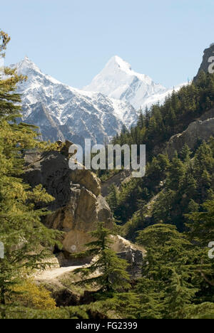 Gangotri Nationalpark in Gangotri und Himalaya Schnee am Berg Peak Sudarshan, Uttaranchal, Indien Stockfoto