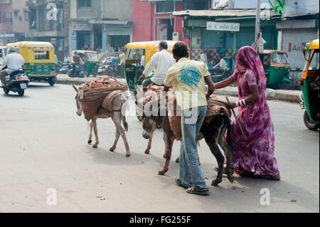 Mann und Frau mit Backstein auf Esel Rücken; Ahmedabad; Gujarat; Indien Stockfoto