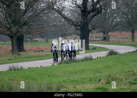 Radfahrer fahren durch Richmond Park, Süd-west London, Großbritannien 12. Februar 2016. Copyright Foto - John Voos Stockfoto