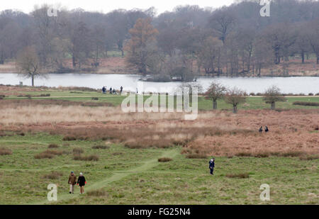 Spaziergänger Bummeln im Richmond Park, Süd-west London 12. Februar 2016. Copyright Foto - John Voos Stockfoto