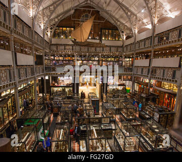 Panorama-Foto von The Pitt Rivers Museum in Oxford, Vereinigtes Königreich (befindet sich im Osten von der Oxford University Museum of Natural History) Stockfoto