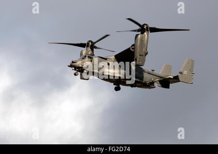 Die Bell-Boeing v-22 Osprey kommen ins Land an der Woodbridge Flugplatz Base, Rendlesham, Suffolk, UK. Stockfoto