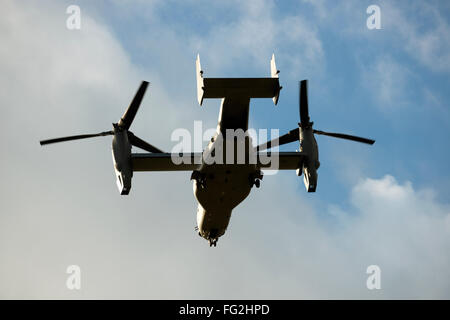 Die Bell-Boeing v-22 Osprey kommen ins Land an der Woodbridge Flugplatz Base, Rendlesham, Suffolk, UK. Stockfoto