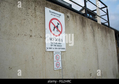 Keine Hunde am Strand Zeichen. Scarborough Borough Council. Meer Betonwand befestigt. Gibt Datum 1. Mai bis 30. September. Stockfoto