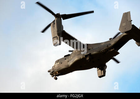 Die Bell-Boeing v-22 Osprey kommen ins Land an der Woodbridge Flugplatz Base, Rendlesham, Suffolk, UK. Stockfoto