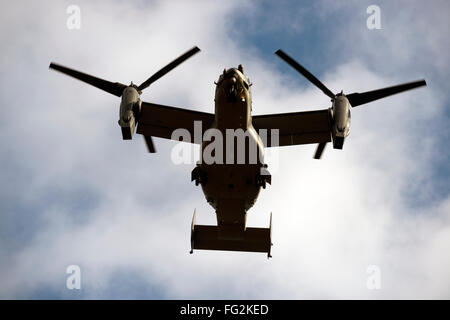 Die Bell-Boeing v-22 Osprey kommen ins Land an der Woodbridge Flugplatz Base, Rendlesham, Suffolk, UK. Stockfoto