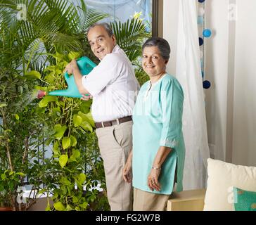 Alter älterer Mann Frau im Garten, älterer Mann Frau Bewässerung Pflanzen, HERR#702T,702S Stockfoto