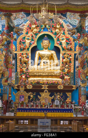 Golden Buddha Statue im Kloster Palyul Namdroling Nyingmapa Buddhistisches Zentrum Byalakuppe; Bezirk; Karnataka Mysore Indien - vmm 221661 Stockfoto