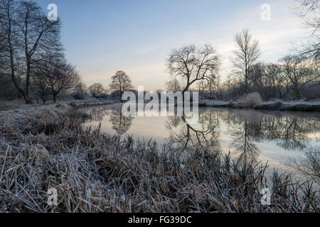 Ein Wintermorgen auf dem Fluss Wey in Surrey. Frost ist am Boden und auf dem Schilf Bäume spiegeln sich in das Stille Wasser Stockfoto