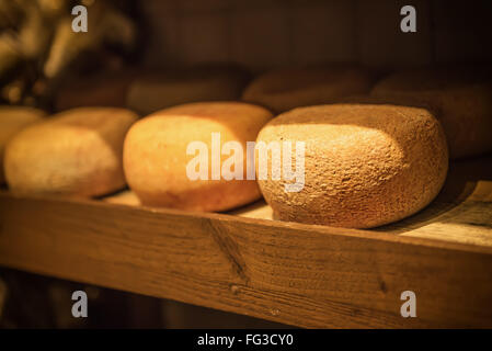 Pecorino-Schafskäse Stockfoto