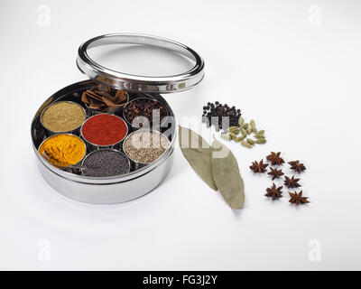 Verschiedene Arten von Gewürzen in Schalen in Behälter aus rostfreiem Stahl auf weißem Hintergrund Stockfoto