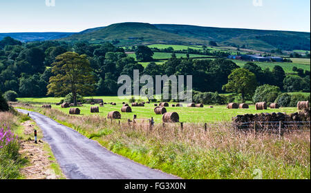Landstraße, die durch Ackerland (Feld mit Runde Heuballen), Westerdale, North York Moors, North Yorkshire, England UK Stockfoto