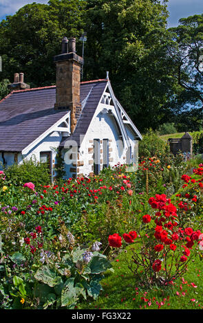 Idyllische malerischen schrulligen Cottage mit ziemlich Garten und rote Rosen blühen am Straßenrand kurz vor, in der Nähe von Great Ayton, North Yorkshire Stockfoto