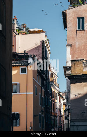 Eine schmale Straße von charakteristischen Häuser überflutet mit Sonnenlicht direkt an der Campo de' Fiori in Rom, Italien Stockfoto