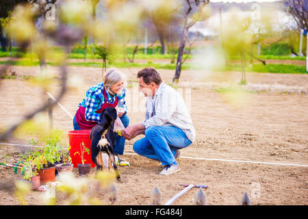 Ältere Frau und Mann in ihrem Garten Pflanzen Samen Stockfoto