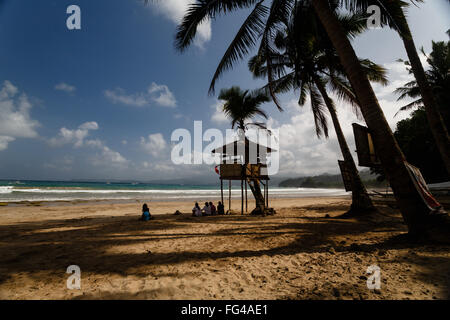 Bambus lifeguard Tower unter Palmen am tropischen Strand Stockfoto