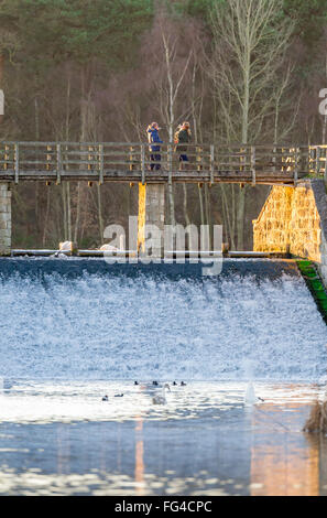 Mann und Frau stehen auf einer Holzbrücke über ein Wehr, die Bilder von ihrem Haustier Hund. Stockfoto