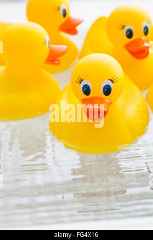 Gummienten auf dem Wasser schwimmt Stockfoto