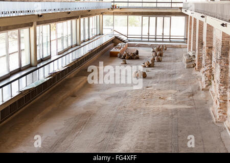 Römische Mosaik-Museum, auch bekannt als der Roman Edifice, Constanta, Rumänien Stockfoto