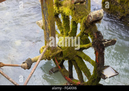 Alte Mühle auf dem Land Stockfoto