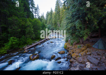 North Umpqua River in Oregon in der Nähe Toketee Fälle. Stockfoto